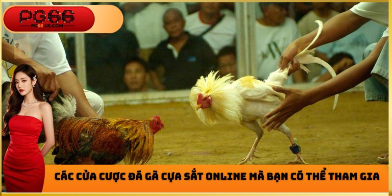 Các cửa cược đá gà cựa sắt Online mà bạn có thể tham gia
