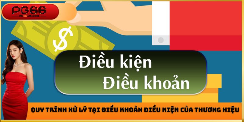 Quy trình xử lý tại điều khoản điều kiện của thương hiệu