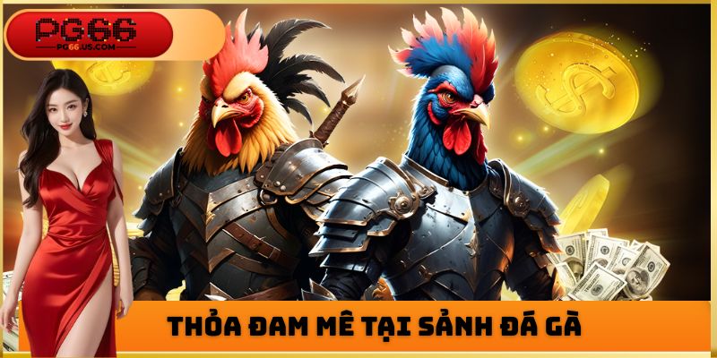 Thỏa đam mê tại sảnh đá gà